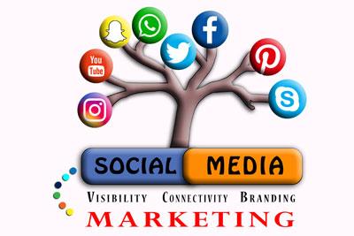 Diploma in Graphic Designing